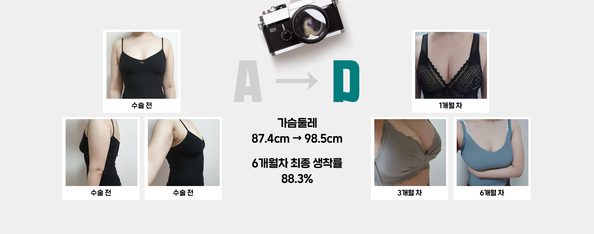 가슴둘레 87.4cm에서 98.5cm